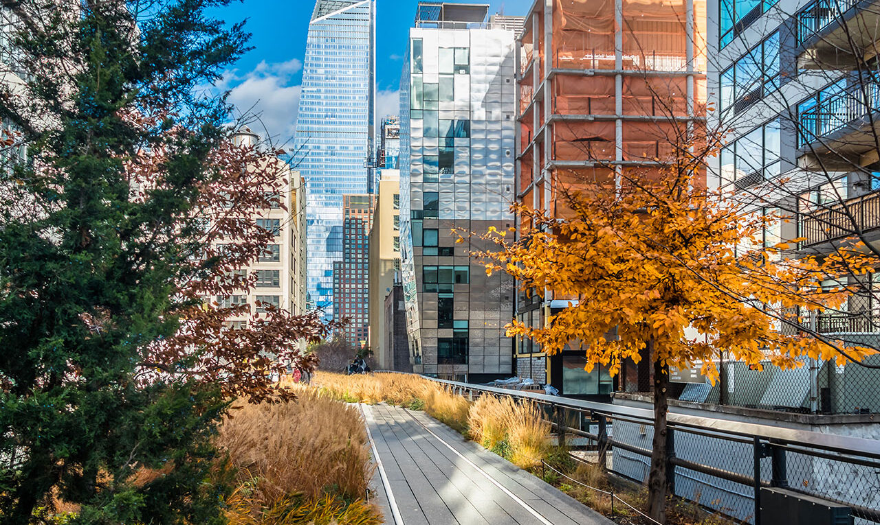 High Line park New York